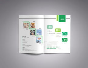彩瑞數(shù)碼科技 產(chǎn)品畫冊策劃與數(shù)字廣告設(shè)計(jì)的創(chuàng)新融合